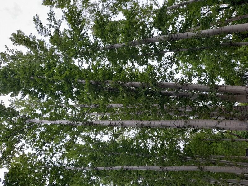 Фото 7 из отзыва о загородном комплексе Алые Паруса