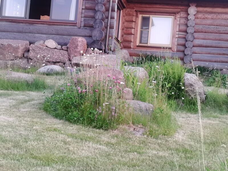 Фото 2 из отзыва о загородном клубе Пихтовое