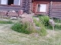 Фото 4 из отзыва о загородном клубе Пихтовое