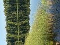 Фото 30 из отзыва о базе отдыха Лесное озеро