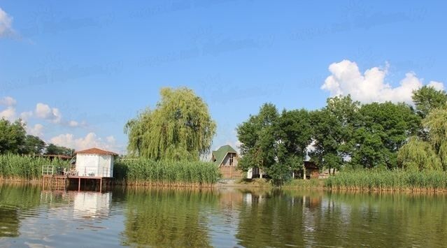База отдыха Разгуляй, Тимашевск, Краснодарский край