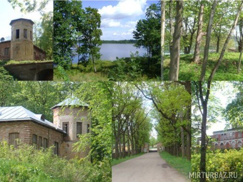 База отдыха Заполье, Ленинградская область, Лужский район