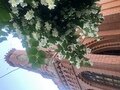 Фото 23 из отзыва о базе отдыха Замок на озере Увильды