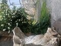 Фото 25 из отзыва о базе отдыха Замок на озере Увильды