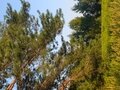 Фото 15 из отзыва о гостевом доме Арк-Путьково