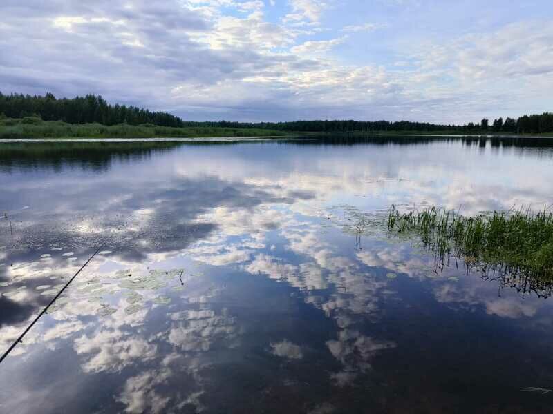Фото 5 из отзыва о гостевом доме У озера