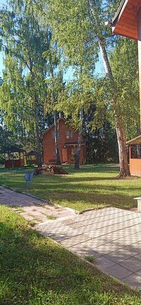 Фото 2 из отзыва о базе отдыха Березовая роща