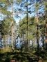 Фото 3 из отзыва о базе отдыха Сямозеро