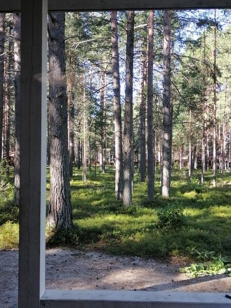 Фото 5 из отзыва о базе отдыха Сямозеро