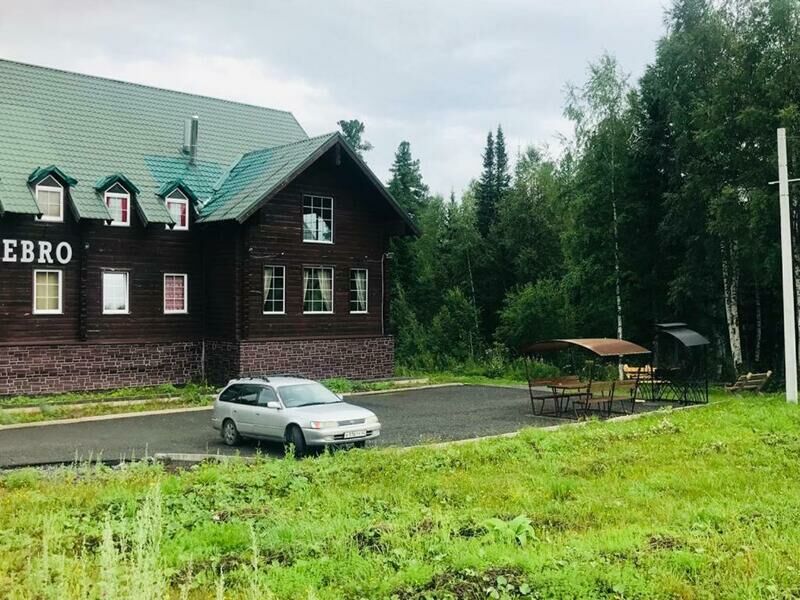 Внешний вид | Серебро, Кемеровская область