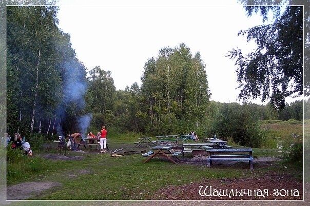 Мангальная зона | Обские зори, Новосибирская область