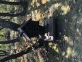 Фото 2 из отзыва о базе отдыха Тунгус