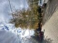 Фото 20 из отзыва о базе отдыха На Маклоке
