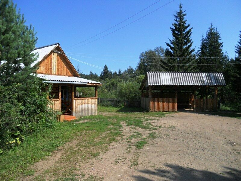 Маша и три медведя, Красноярский край: фото 2