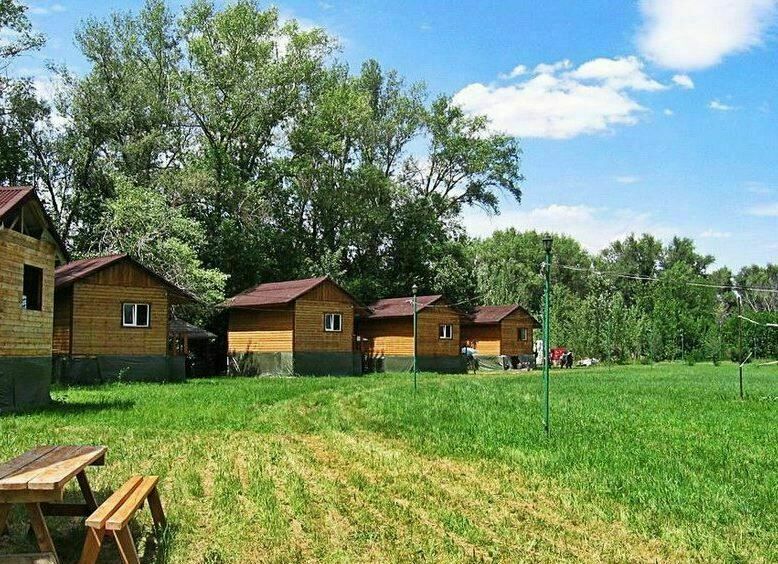Большая рыба, Волгоградская область: фото 2