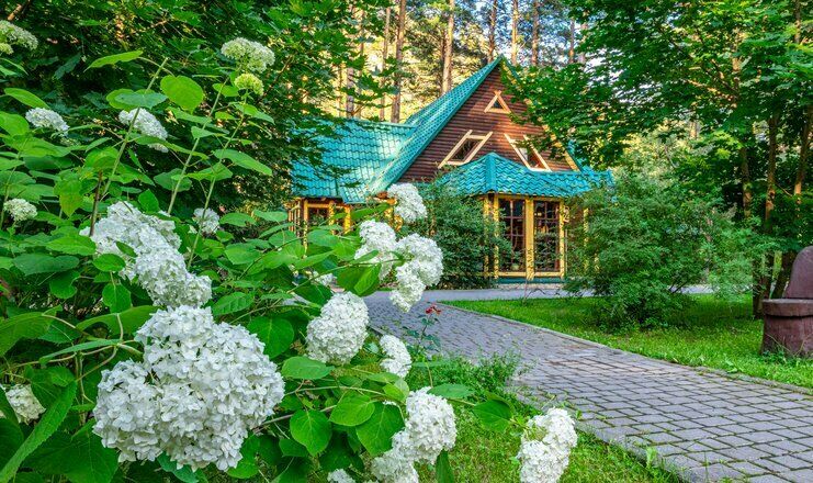Кедровый остров, Горный Алтай (Республика Алтай): фото 2