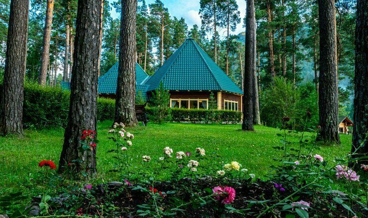 Кедровый остров, Горный Алтай (Республика Алтай): фото 5