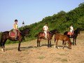 Конные прогулки