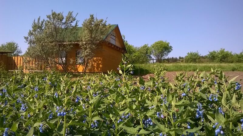 Домик Отдых в деревне у Дмитрия, Тверская область, Селижаровский район