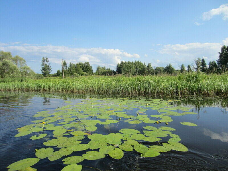 Дом «На водохранилище» | На водохранилище, Ярославская область