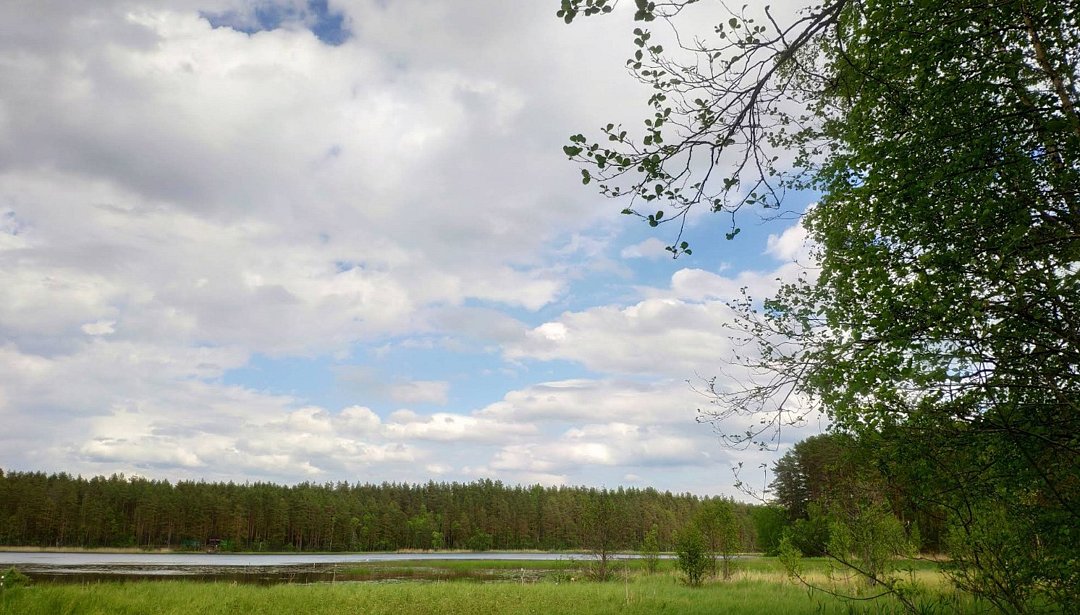 Велопрогулки по Ленобласти